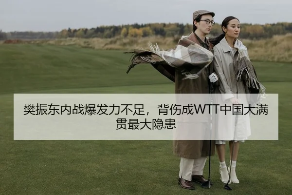 樊振东内战爆发力不足，背伤成WTT中国大满贯最大隐患